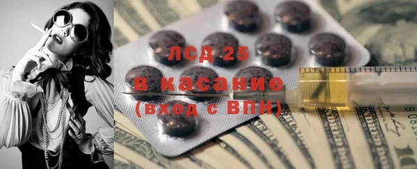 ГАЛЛЮЦИНОГЕННЫЕ ГРИБЫ Зеленодольск
