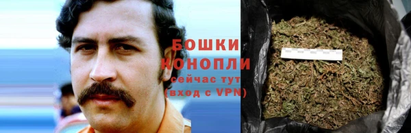 прущая мука Инсар