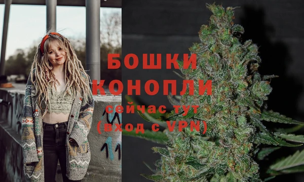 прущая мука Инсар