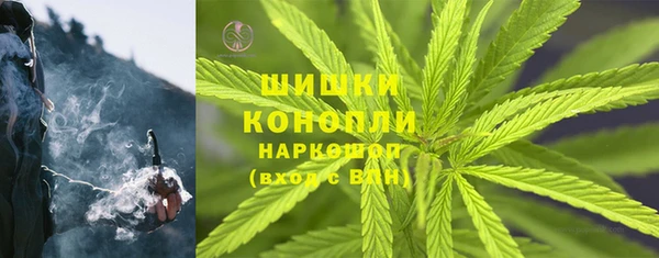 прущая мука Инсар